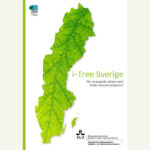 Ladda hem slutrapport i-Tree Sverige. Författare: Johanna Deak Sjöman och Johan Östberg