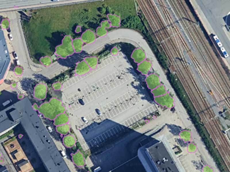 tjenester trekronedekning