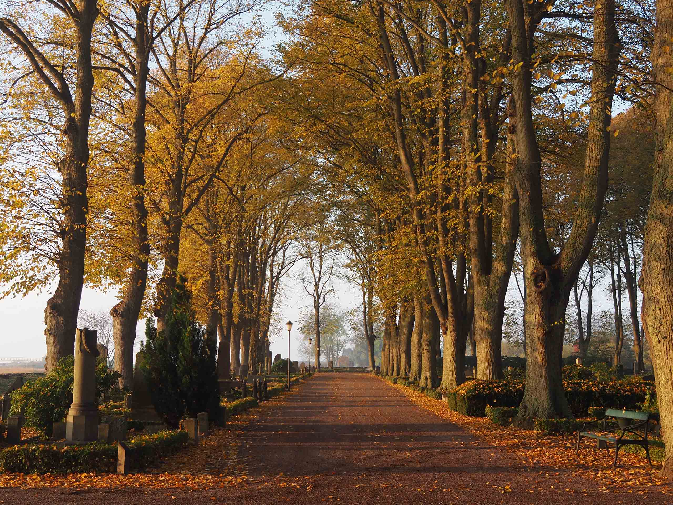 Södra kyrkogården i Kalmar gravar