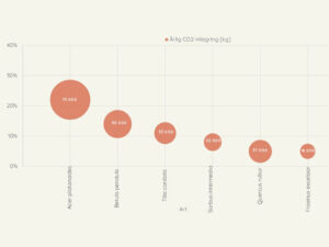 Utbildning-tradkontoret-i-tree-analys-data I-tree analyse