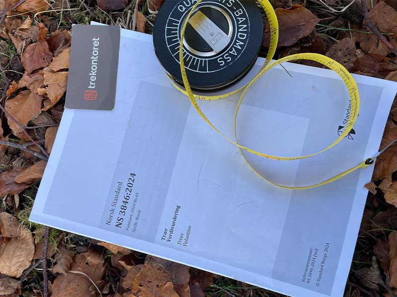 Økonomisk verdivurdering av trær