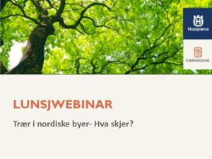 Webinar
